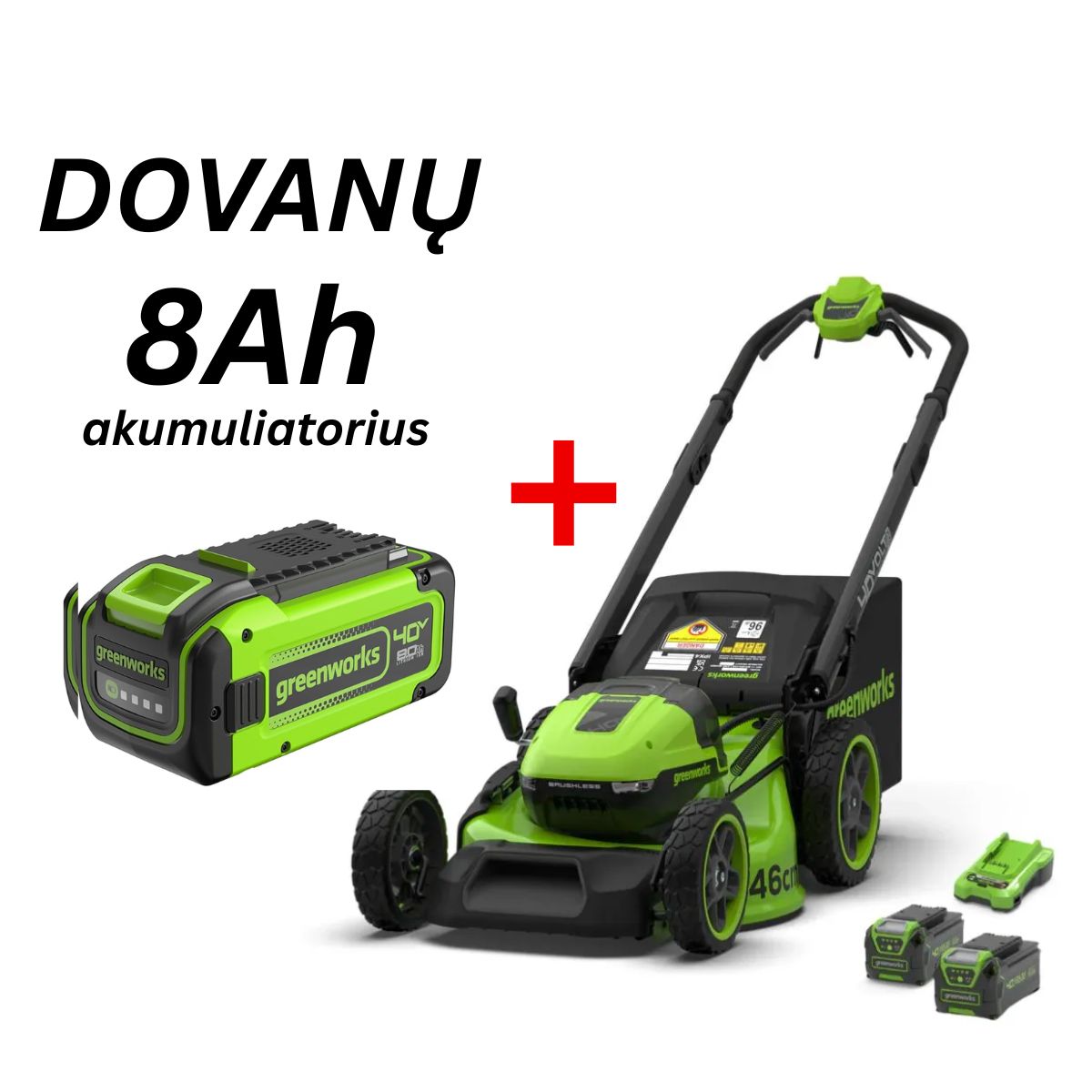 GREENWORKS VEJAPJOVĖS