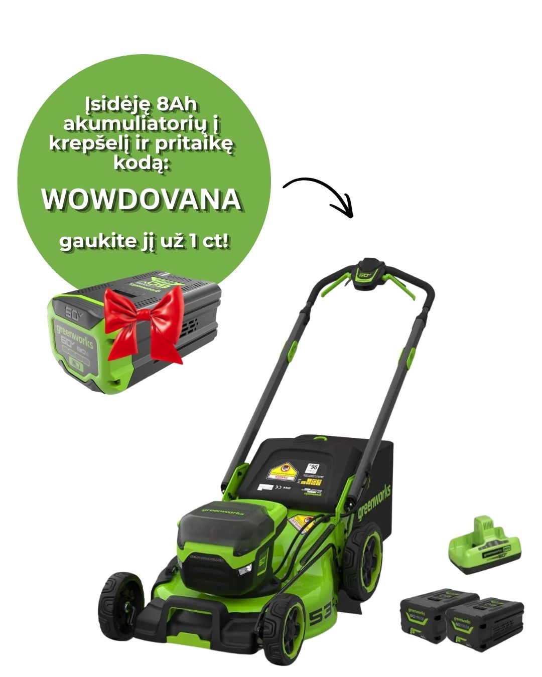 p*a様 SALE90sEvisエヴィスB-15DフライトJKオリーブグリーン4 GREENWORKS VEJAPJOVĖS