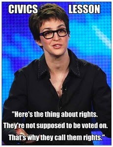Civics Lesson by Rachel Maddow