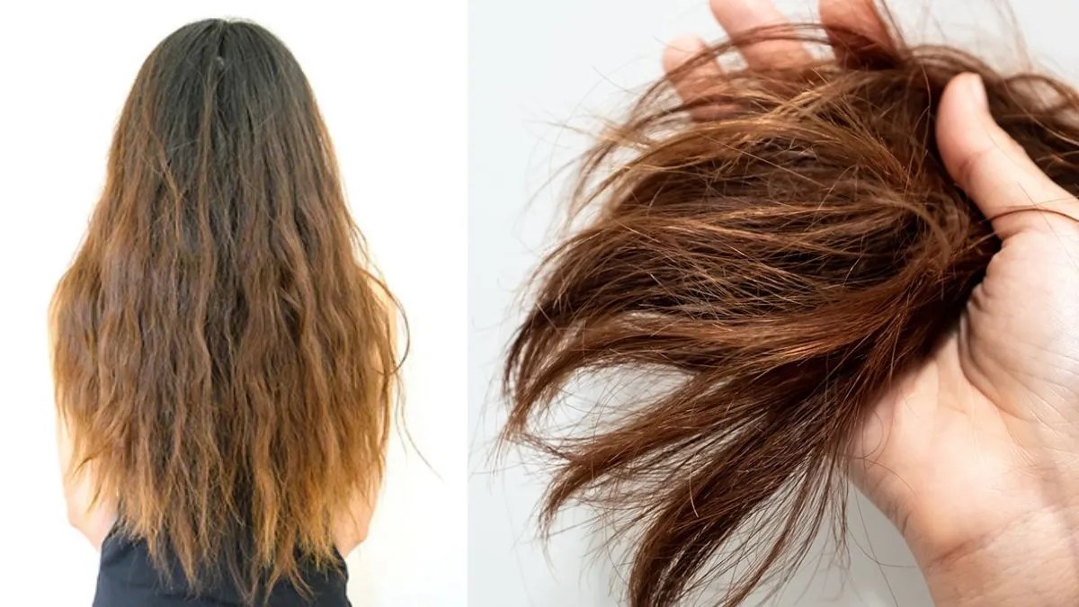 लो पोरोसिटी हेयर्स की केयर कैसे करें? जान लें देखभाल का सही तरीका: Low Porosity Hair Care