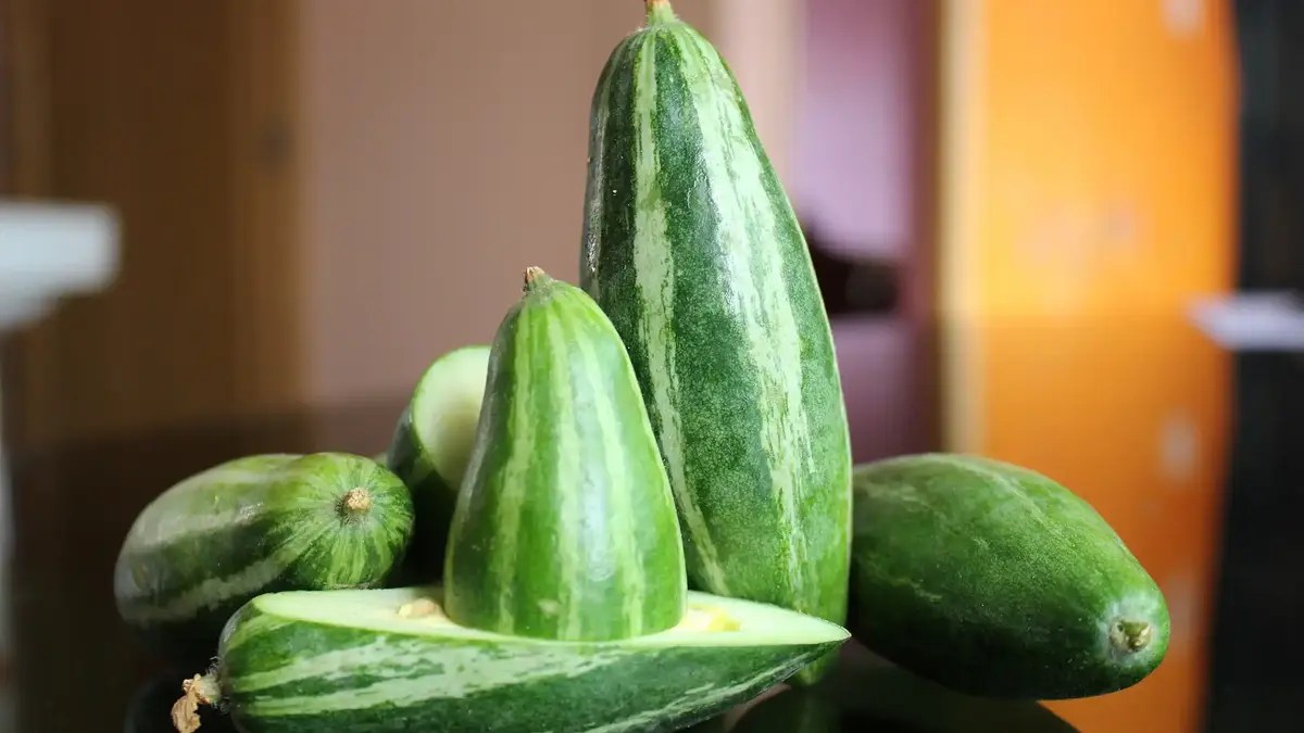 गर्मी में परवल खाने से सेहत को होंगे ये लाभ: ParwaI Benefits