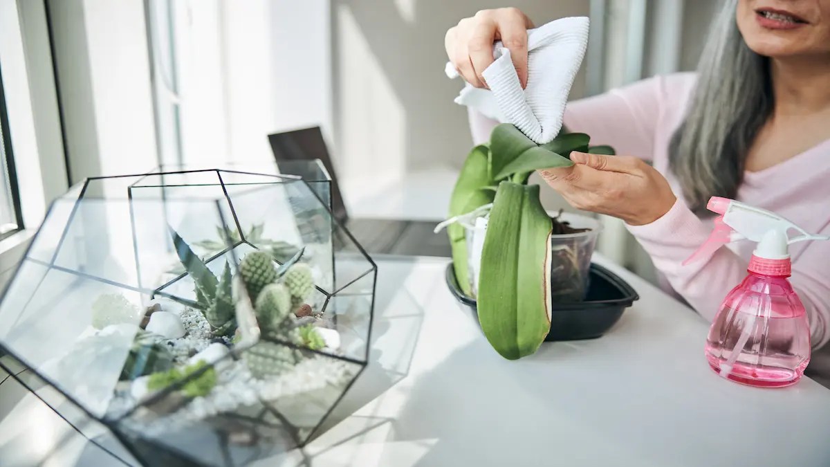 Summer Cleaning Tips