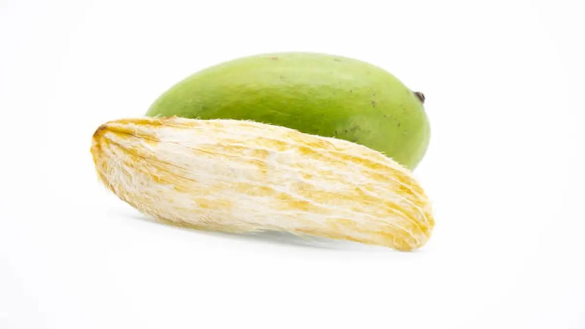 Mango Seeds Benefits