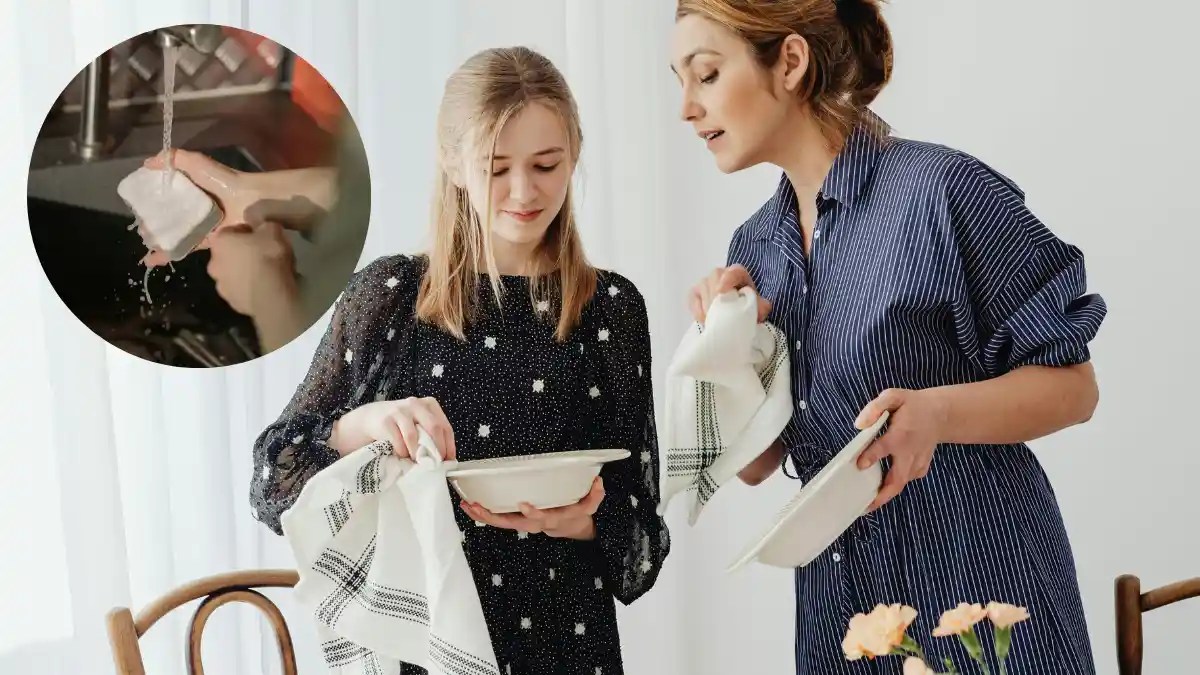 We clean our kitchen every day, but often ignore the sponges, brushes, and cleaning cloths we use. Not replacing them on time can lead to bacteria buildup and health risks. That’s why it’s important to check and replace them regularly. Let’s find out how often these cleaning tools should be changed.