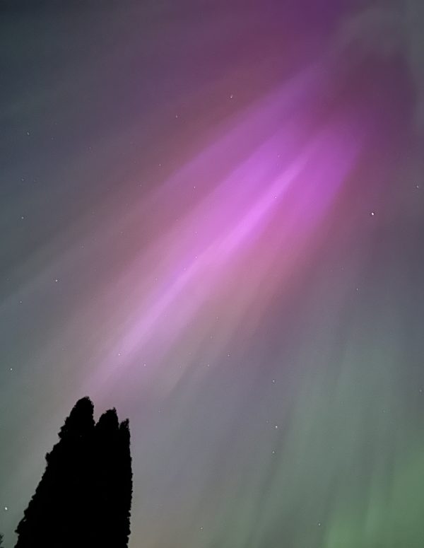IMG_7429 IMG_7429