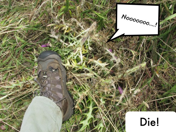 die