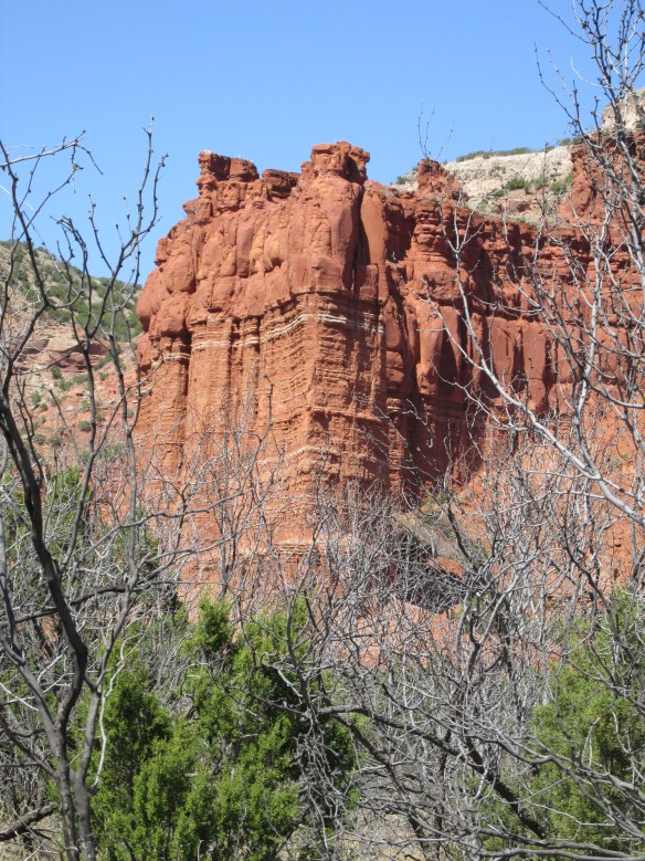 No, "Texas scenery" is not an oxymoron.