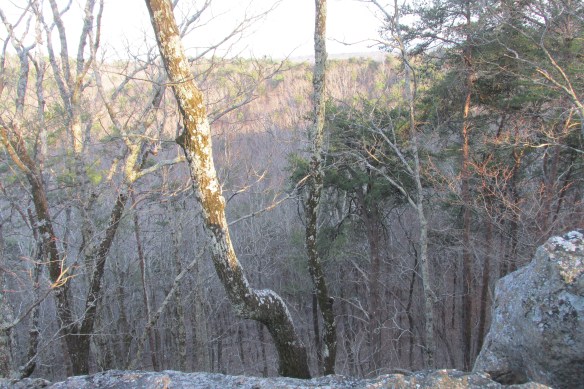 Oak Mountain, Alabama? This western scary snob says, "Pretty pretty!"
