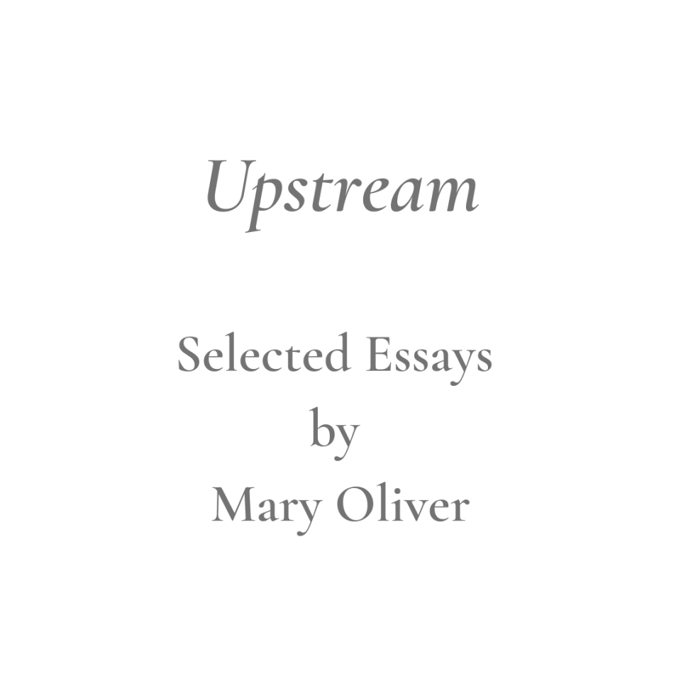 Upstream Title