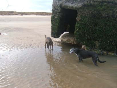 nope, this tastes funny as well