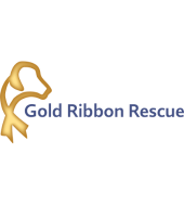 Gold Ribbon Rescue logo