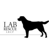 Lab Rescue LRCP logo