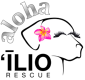Aloha Ilio Rescue logo