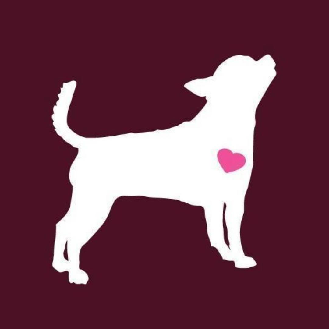 Long Way Home Adoptables logo