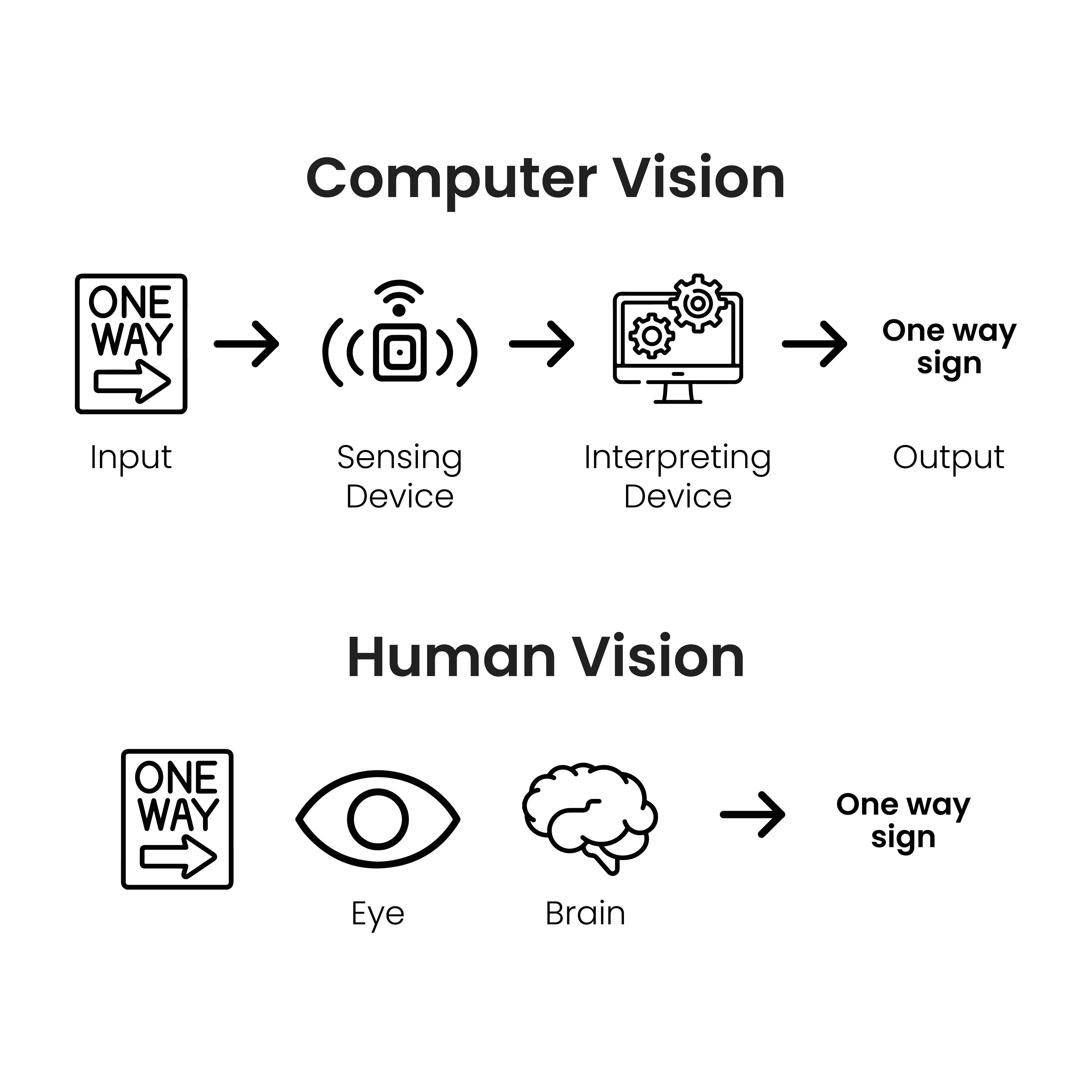 Computer Vision vs Human Vision