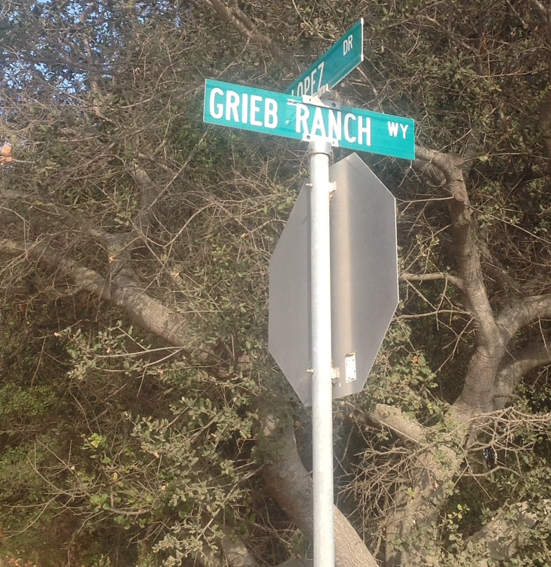Grieb Ranch Way