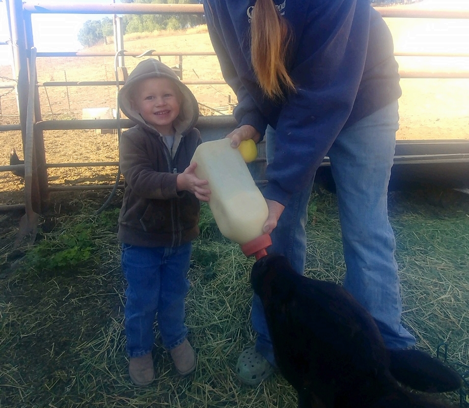 Calving Season 2018 Means More Adventures at Grieb Ranch | The Story of Ranching at Grieb Ranch