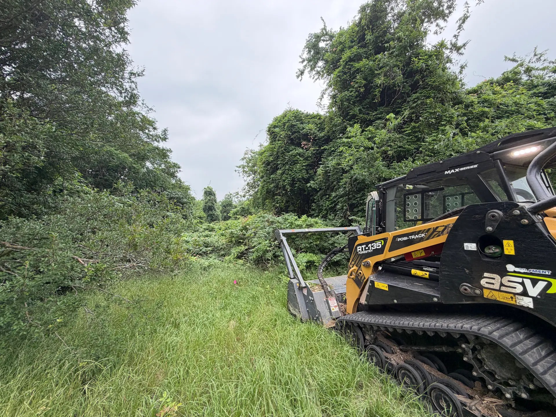 Tracked skid steer with a forestry mulching head beside heavy brush