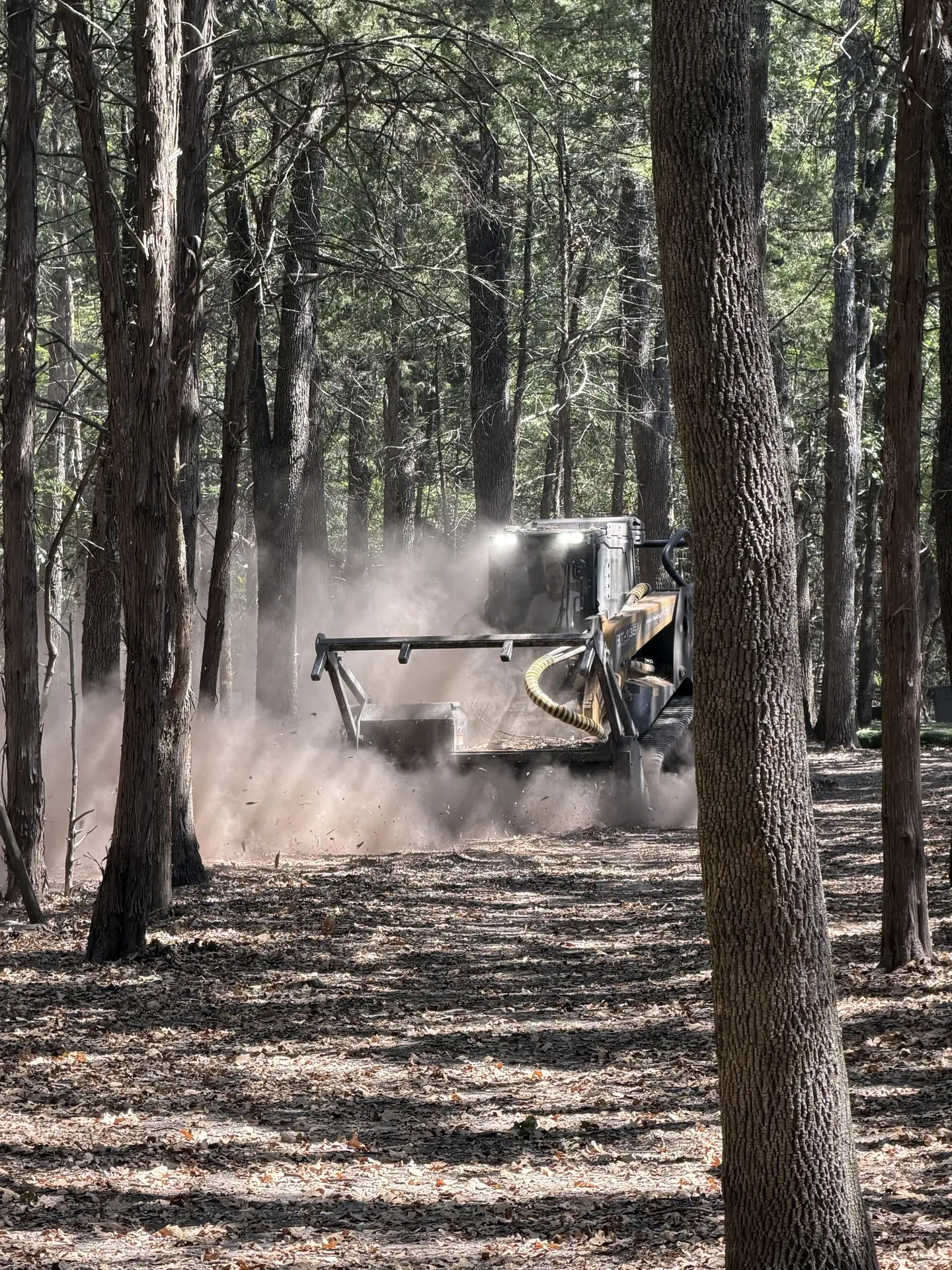 Forestry mulcher working in pine woods with mulch dust in the air