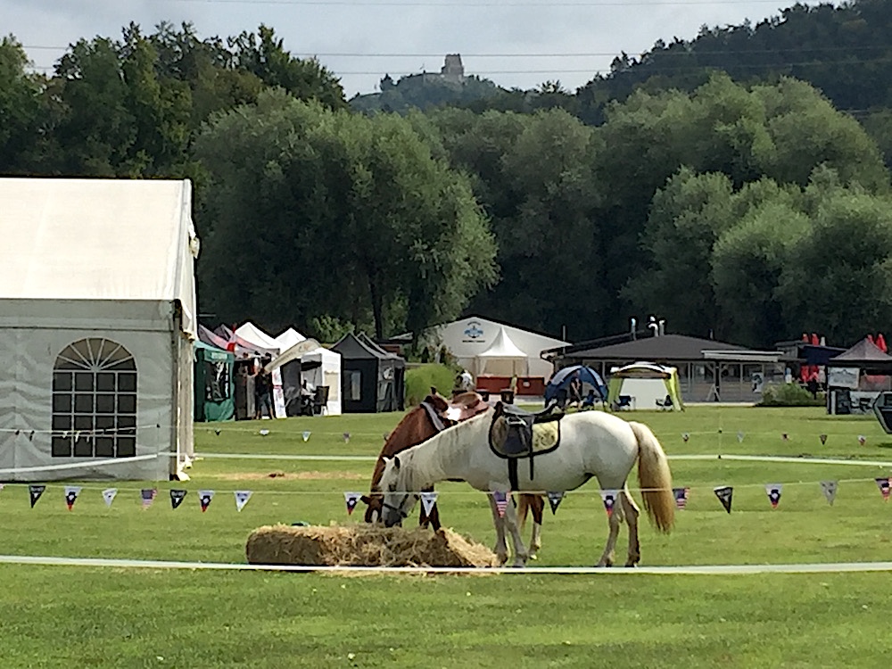Wild West Fest