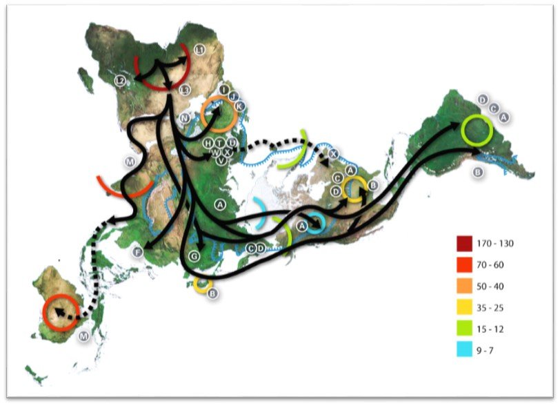 9 Beautiful Maps That You Would Like To See