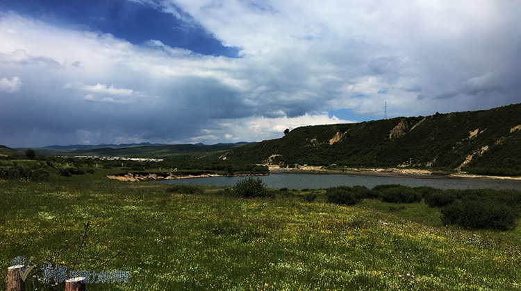 草原雙生花——俄麼塘花海、若爾蓋花湖