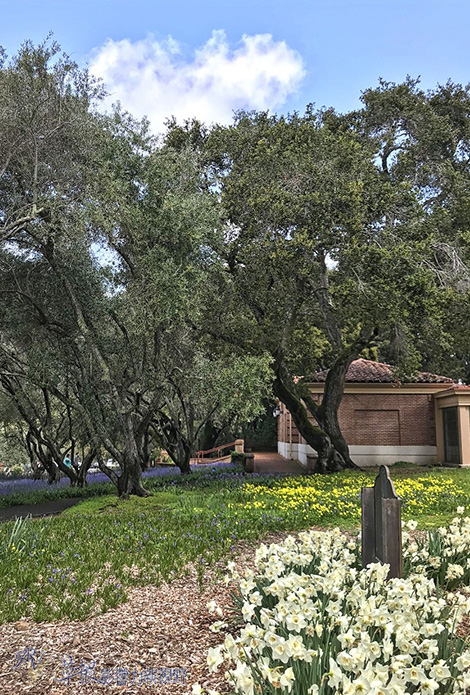 初春的邂逅北加州費羅麗莊園FLO