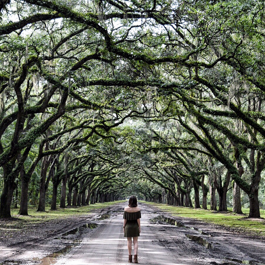 27 comfort keepers reviews in atlanta, ga. THE MOST PHOTO WORTHY SPOTS IN SAVANNAH