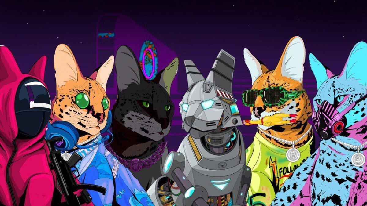 Stryker the Cat Launches NFT Project to Help Other Wild Animals Grit