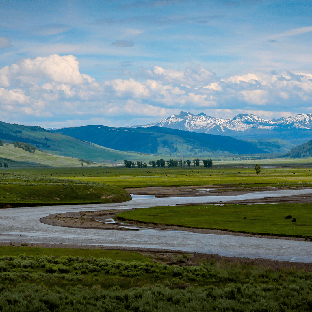 Exploring Lamar Valley The Serengeti Of Yellowstone From Yellowstone Untitled Design 11 