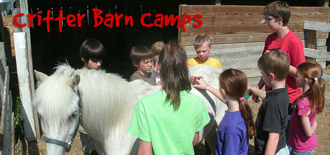 — right now it's likely you have piles of cans and bottles building up in your home, and those could come in handy to help . Grand Rapids Summer Camp Guide