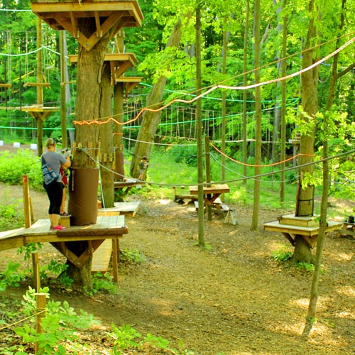 Treerunner High Ropes Adventure Park Holds Grand Opening At Ou Local News Theoaklandpress Com