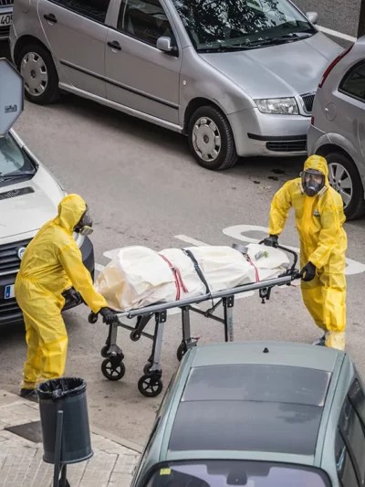 What organs can i donate after death?