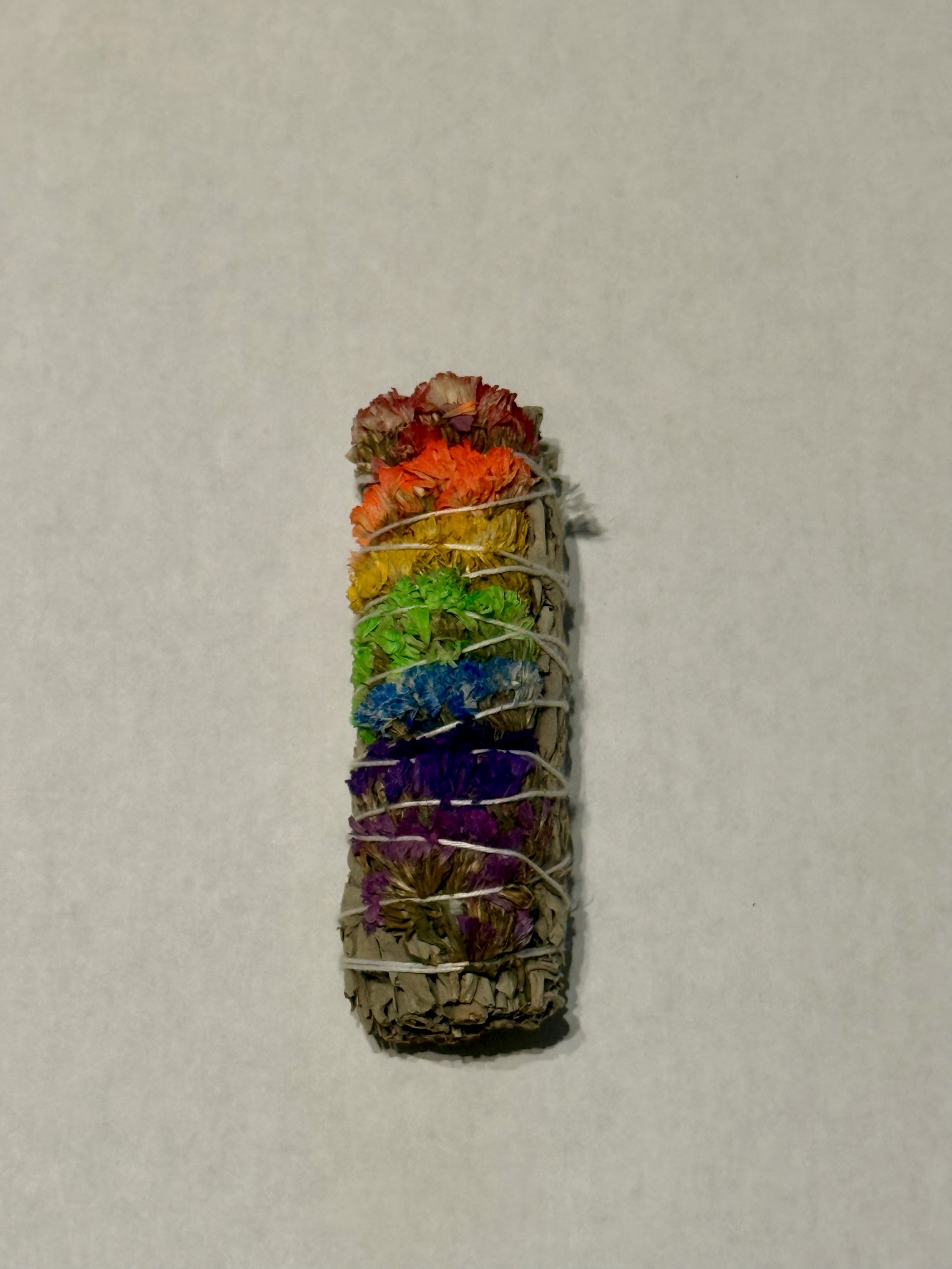 4" Rainbow Sinuata Smudge Stick