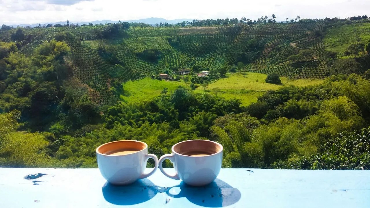 coffee