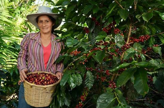 Farmer posing next to tree