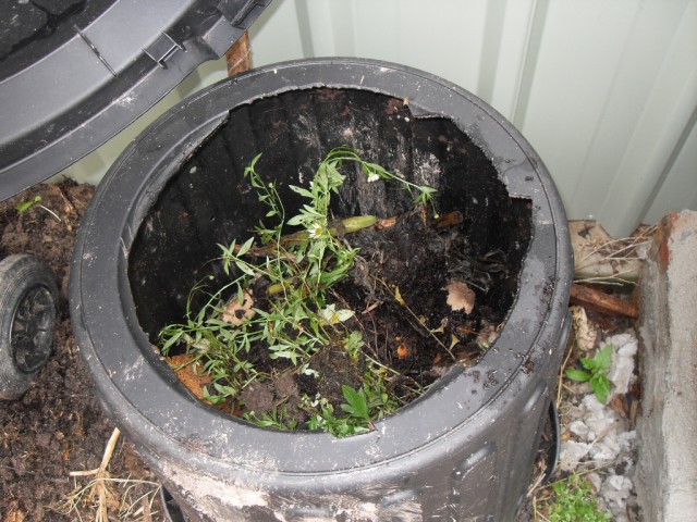 Compost bin coffee grounds