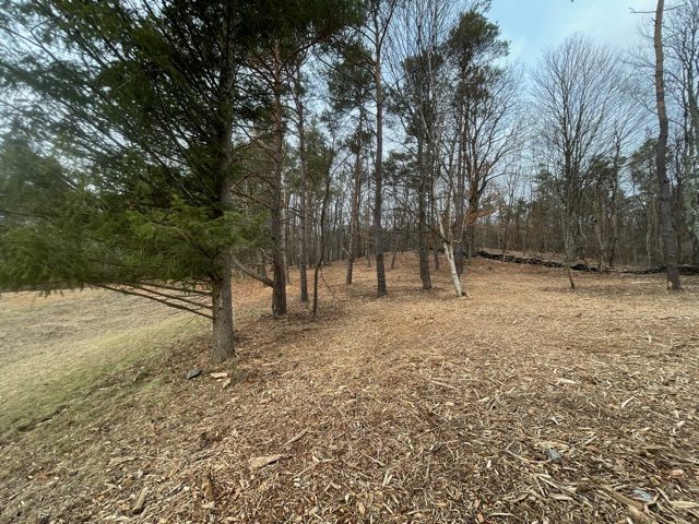 After Underbrushing- Copake, NY