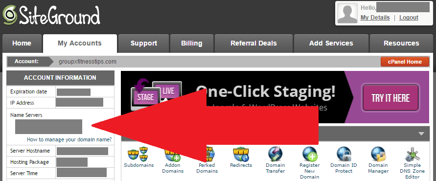 How to Start a Fitness Blog and Point Your DNS to the site (Part 2)