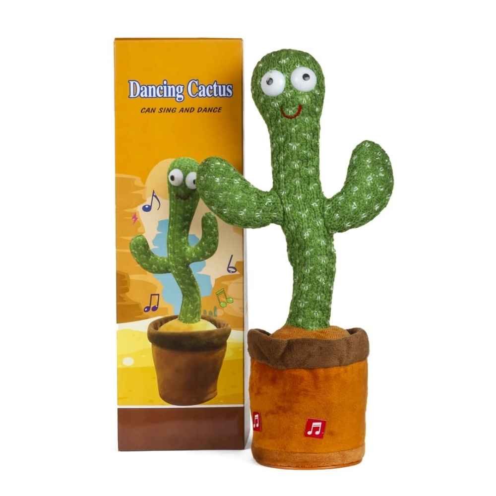calathea rufibarba bewegt sich Calathea Rufibarba kaufen – die Zimmerpflanze mit Bewegungseffekt –  MyZimmerpflanze.de main image 1
