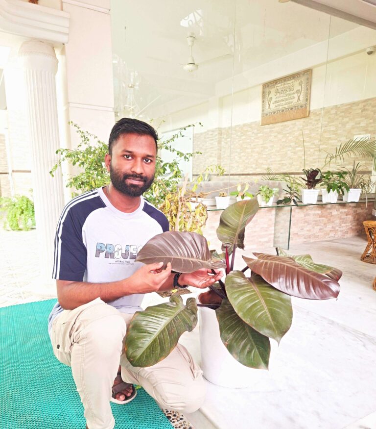 Mehedi Hasan, founder and lead writer of GrowDwell