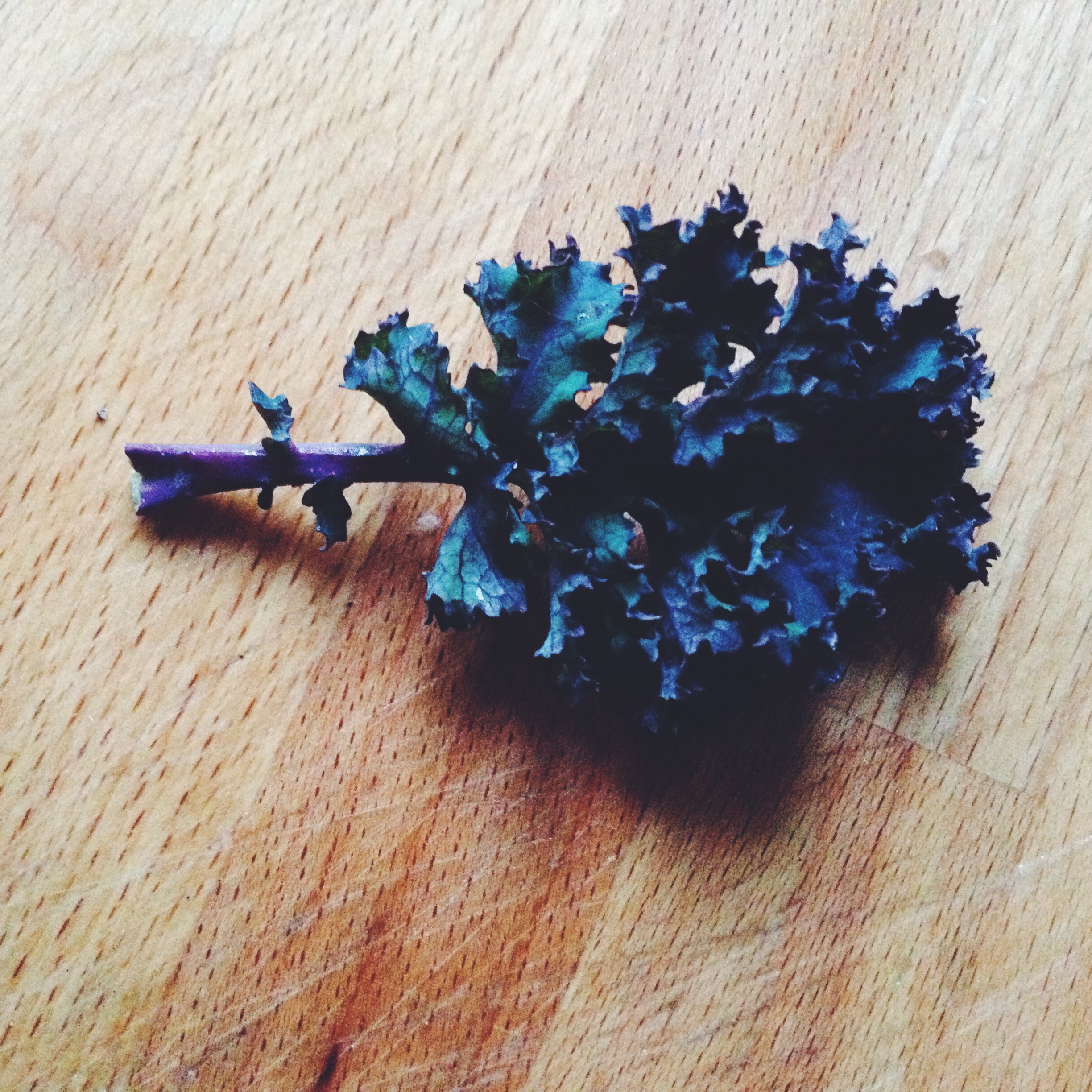 KALE KALE KALE KALE