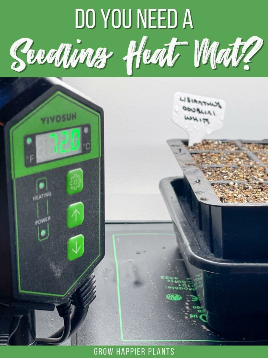Do i need a heat mat to start seeds?