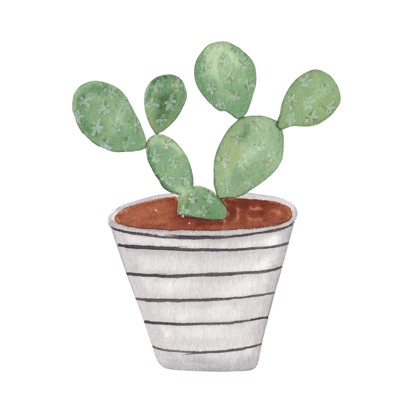 Growing Hobby %