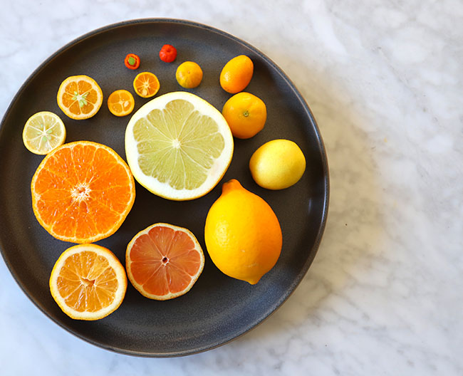 The Joy (and Pain) of Growing Citrus Indoors - Growing With Plants