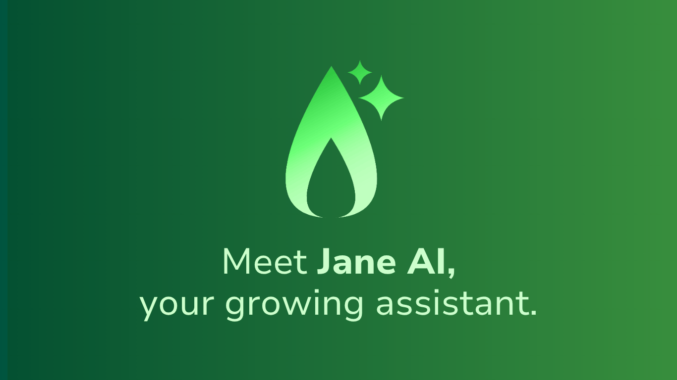 Meet Jane AI - Blog