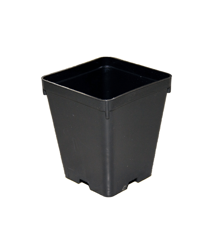 Pot Carré Noir de 1L