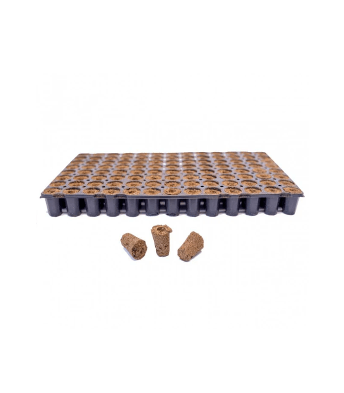 Cube de Germination Eazy Plug 104pcs