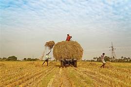 Netherlands to cooperate with India to become the food factory of the world