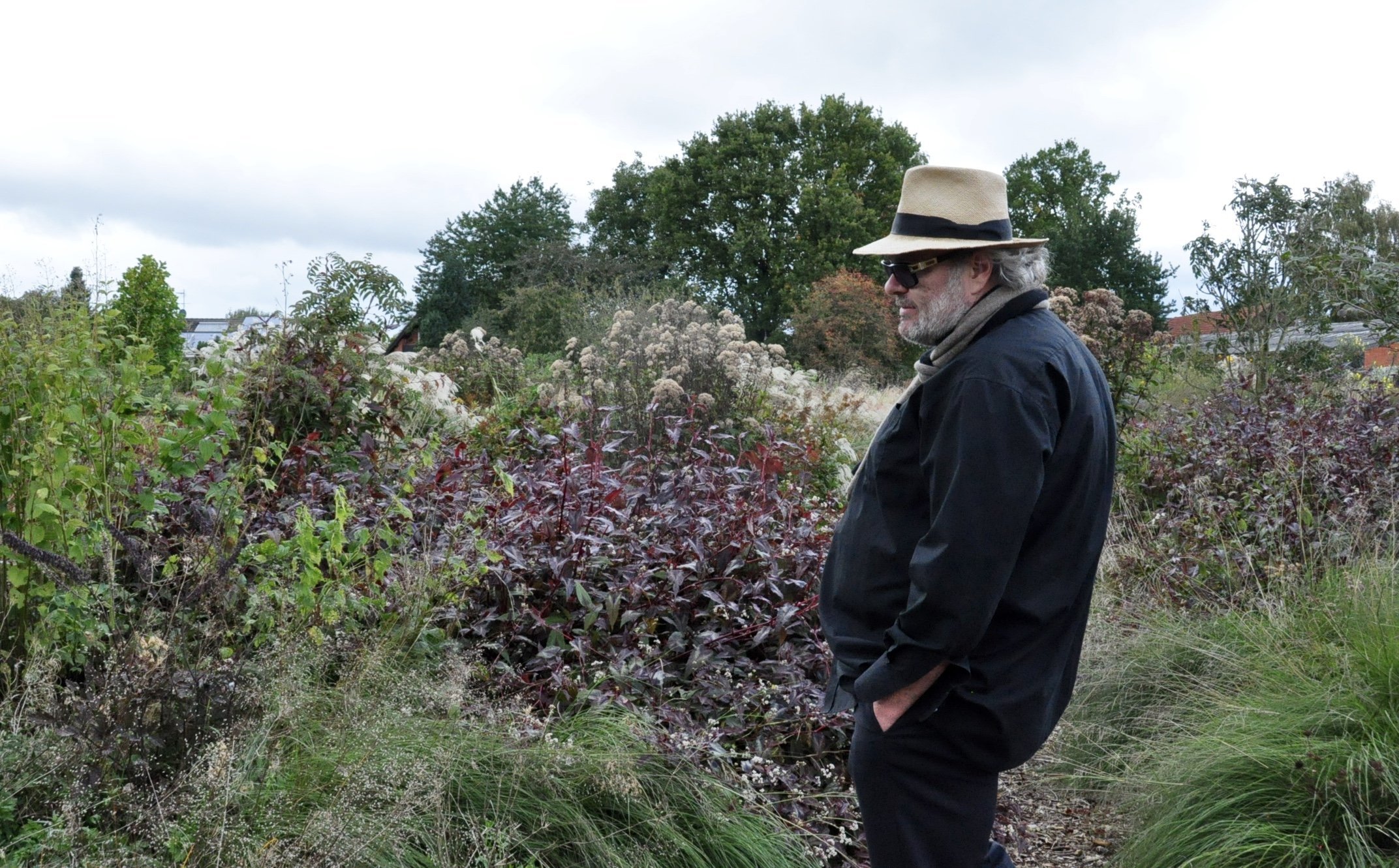 Weisse Hochzeit Www Sempervivum Liste De